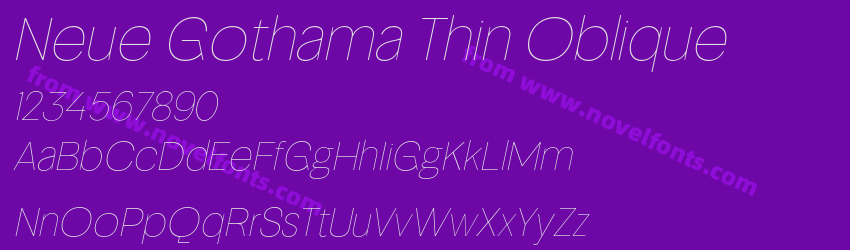 Neue Gothama Thin ObliquePreview Neue Gothama Thin ObliquePreview