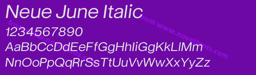 Neue June ItalicPreview Neue June ItalicPreview