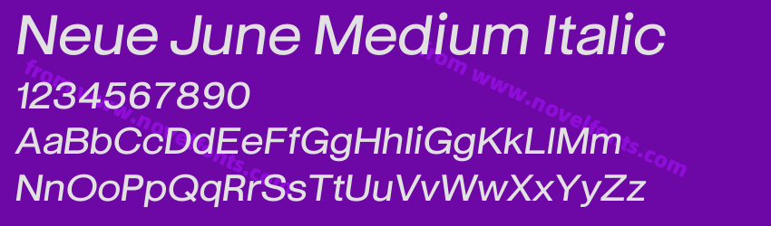 Neue June Medium ItalicPreview Neue June Medium ItalicPreview