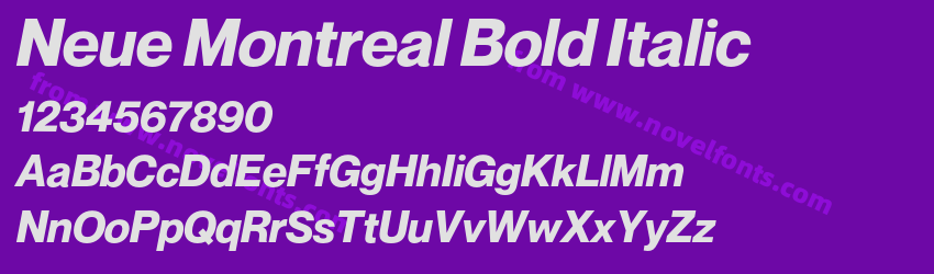 Neue Montreal Bold ItalicPreview Neue Montreal Bold ItalicPreview