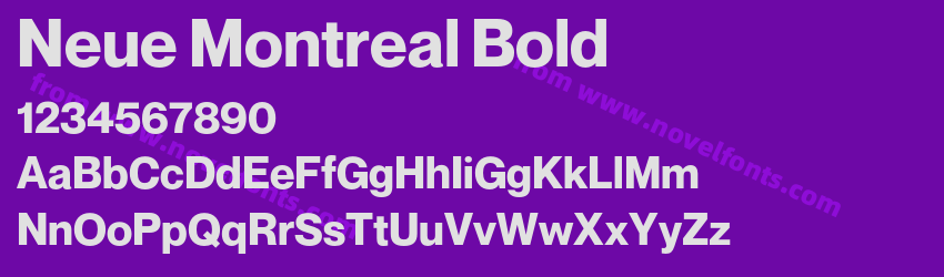 Neue Montreal BoldPreview Neue Montreal BoldPreview