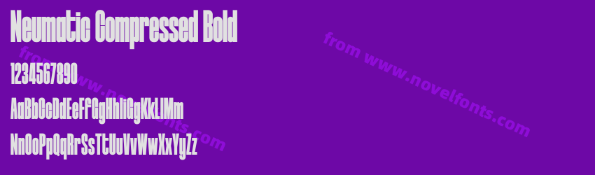 Neumatic Compressed BoldPreview Neumatic Compressed BoldPreview