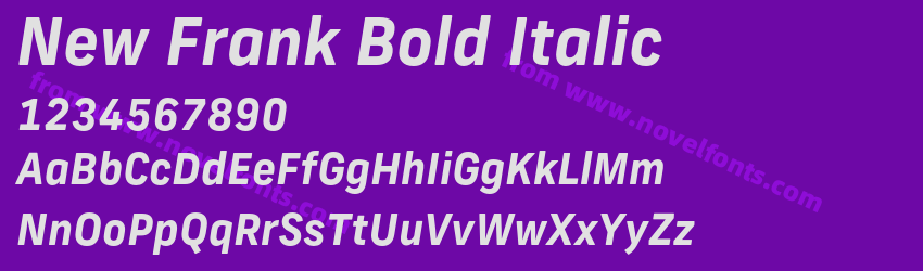 New Frank Bold ItalicPreview New Frank Bold ItalicPreview