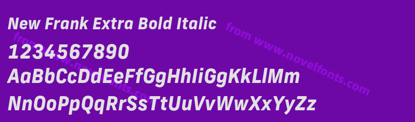 New Frank Extra Bold ItalicPreview New Frank Extra Bold ItalicPreview