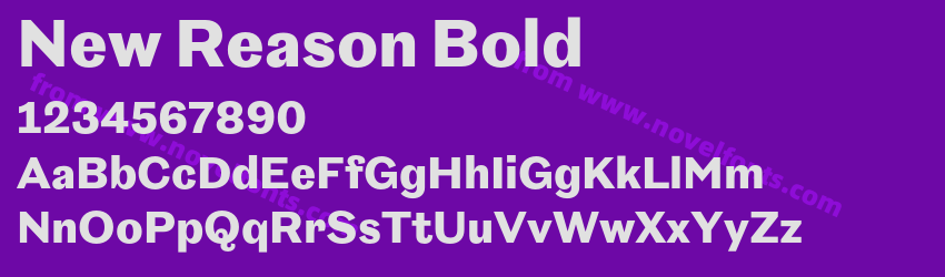 New Reason BoldPreview New Reason BoldPreview