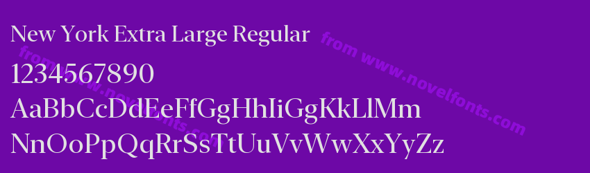 New York Extra Large RegularPreview New York Extra Large RegularPreview