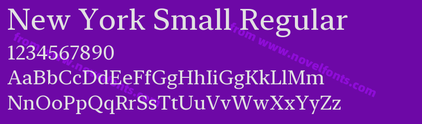 New York Small RegularPreview New York Small RegularPreview
