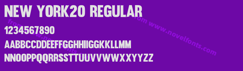New York20 RegularPreview New York20 RegularPreview