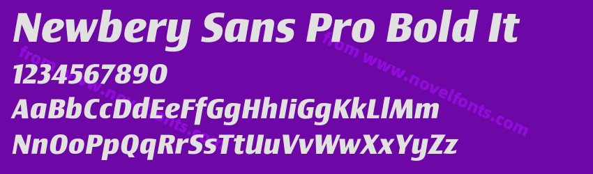 Newbery Sans Pro Bold ItPreview Newbery Sans Pro Bold ItPreview