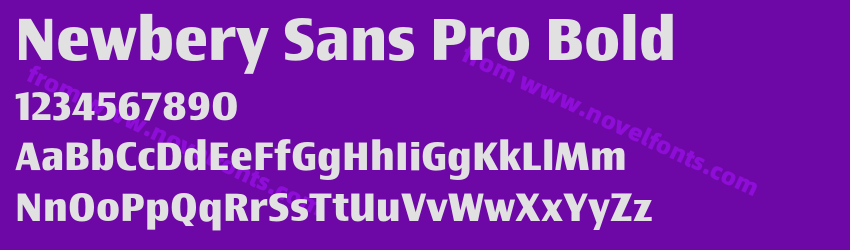 Newbery Sans Pro BoldPreview Newbery Sans Pro BoldPreview
