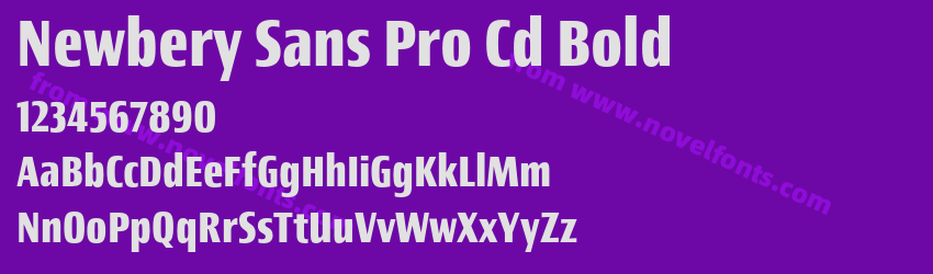 Newbery Sans Pro Cd BoldPreview Newbery Sans Pro Cd BoldPreview