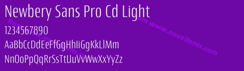 Newbery Sans Pro Cd LightPreview Newbery Sans Pro Cd LightPreview