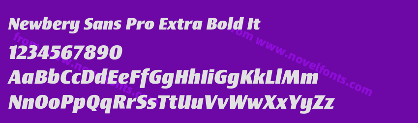 Newbery Sans Pro Extra Bold ItPreview Newbery Sans Pro Extra Bold ItPreview