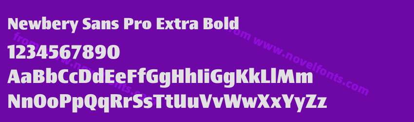 Newbery Sans Pro Extra BoldPreview Newbery Sans Pro Extra BoldPreview