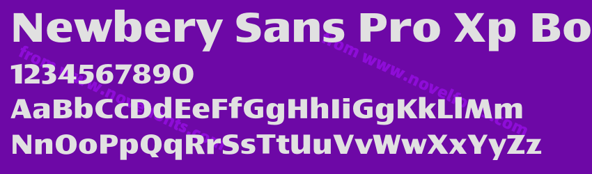 Newbery Sans Pro Xp BoldPreview Newbery Sans Pro Xp BoldPreview