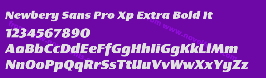 Newbery Sans Pro Xp Extra Bold ItPreview Newbery Sans Pro Xp Extra Bold ItPreview