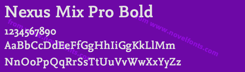 Nexus Mix Pro BoldPreview Nexus Mix Pro BoldPreview