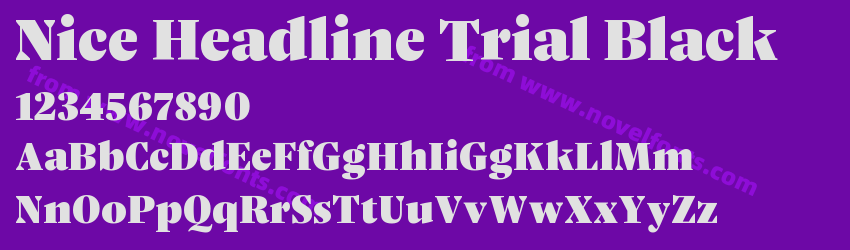 Nice Headline Trial BlackPreview Nice Headline Trial BlackPreview
