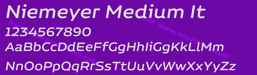 Niemeyer Medium ItPreview Niemeyer Medium ItPreview