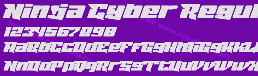Ninja Cyber RegularPreview Ninja Cyber RegularPreview