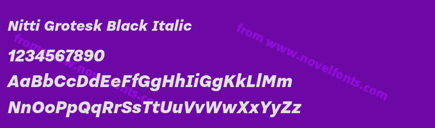 Nitti Grotesk Black ItalicPreview Nitti Grotesk Black ItalicPreview
