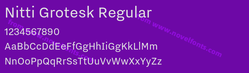 Nitti Grotesk RegularPreview Nitti Grotesk RegularPreview