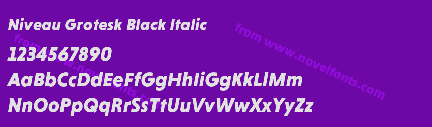 Niveau Grotesk Black ItalicPreview Niveau Grotesk Black ItalicPreview
