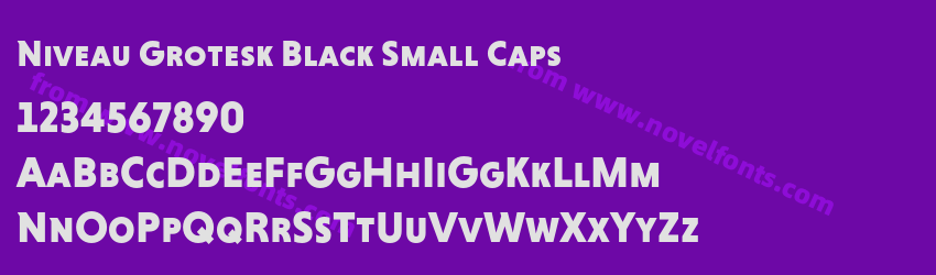 Niveau Grotesk Black Small CapsPreview Niveau Grotesk Black Small CapsPreview
