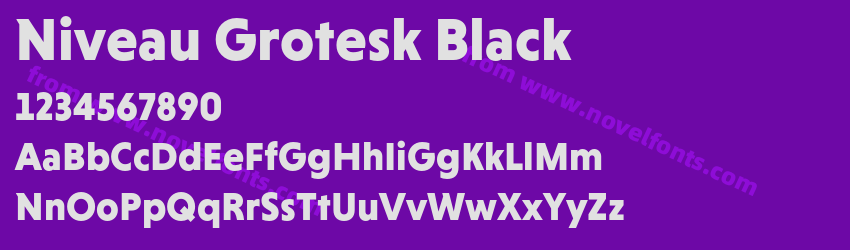 Niveau Grotesk BlackPreview Niveau Grotesk BlackPreview