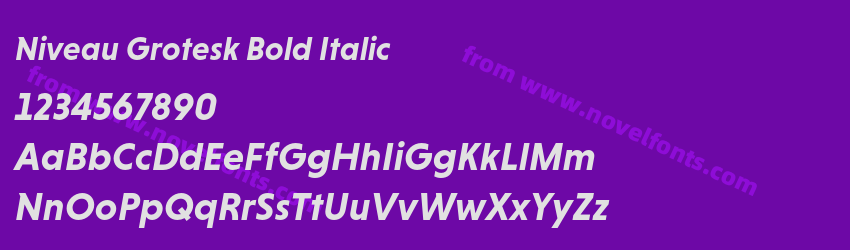Niveau Grotesk Bold ItalicPreview Niveau Grotesk Bold ItalicPreview