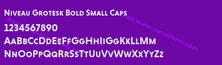 Niveau Grotesk Bold Small CapsPreview Niveau Grotesk Bold Small CapsPreview