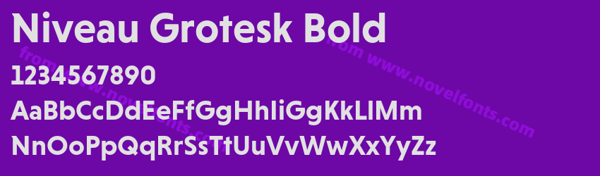 Niveau Grotesk BoldPreview Niveau Grotesk BoldPreview