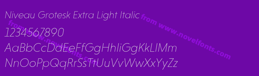 Niveau Grotesk Extra Light ItalicPreview Niveau Grotesk Extra Light ItalicPreview