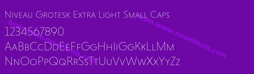 Niveau Grotesk Extra Light Small CapsPreview Niveau Grotesk Extra Light Small CapsPreview