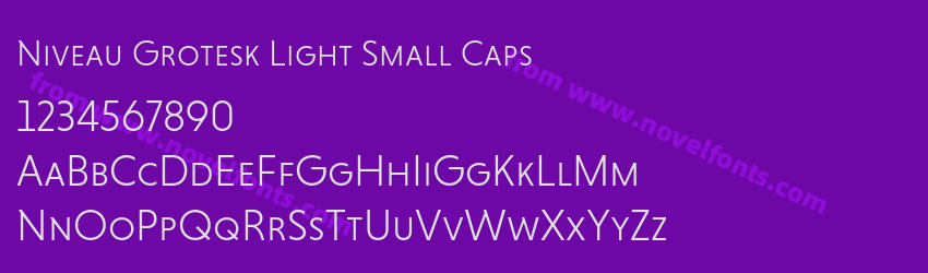 Niveau Grotesk Light Small CapsPreview Niveau Grotesk Light Small CapsPreview