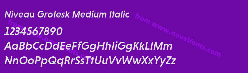 Niveau Grotesk Medium ItalicPreview Niveau Grotesk Medium ItalicPreview