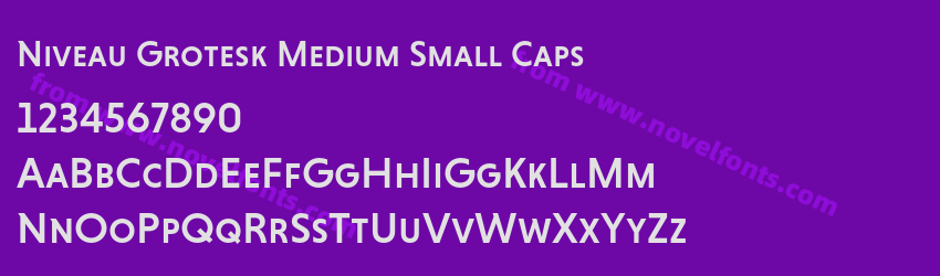 Niveau Grotesk Medium Small CapsPreview Niveau Grotesk Medium Small CapsPreview
