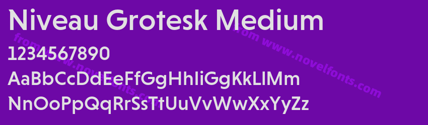 Niveau Grotesk MediumPreview Niveau Grotesk MediumPreview