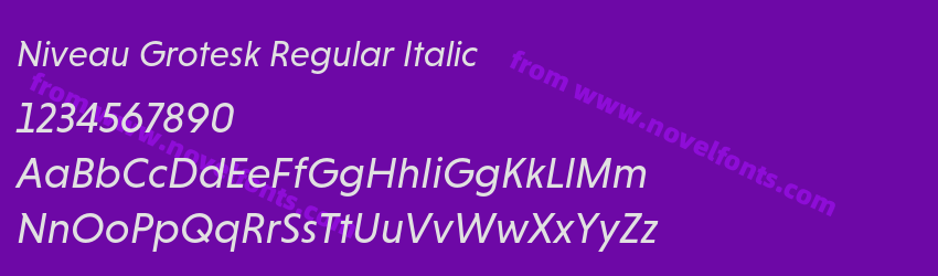 Niveau Grotesk Regular ItalicPreview Niveau Grotesk Regular ItalicPreview