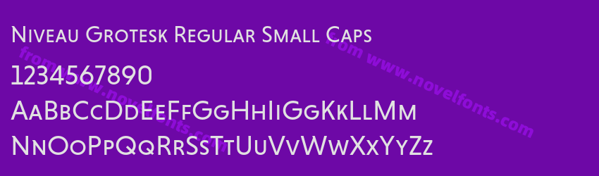 Niveau Grotesk Regular Small CapsPreview Niveau Grotesk Regular Small CapsPreview