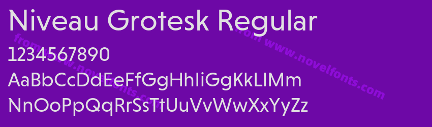 Niveau Grotesk RegularPreview Niveau Grotesk RegularPreview