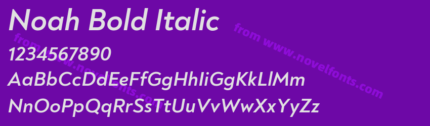 Noah Bold ItalicPreview Noah Bold ItalicPreview