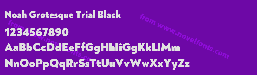 Noah Grotesque Trial BlackPreview Noah Grotesque Trial BlackPreview