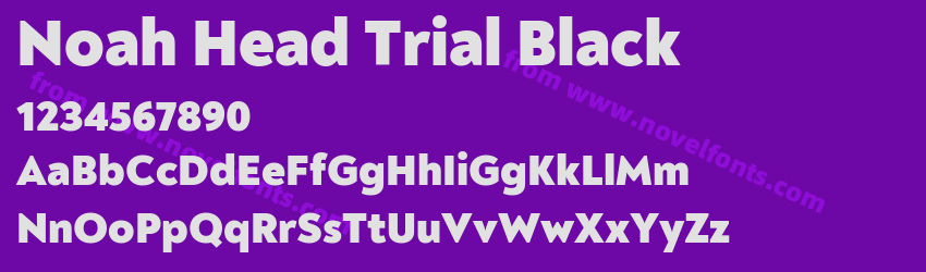 Noah Head Trial BlackPreview Noah Head Trial BlackPreview