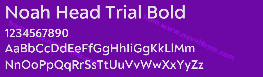 Noah Head Trial BoldPreview Noah Head Trial BoldPreview