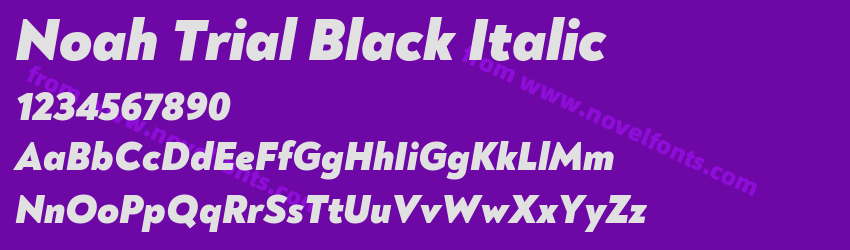Noah Trial Black ItalicPreview Noah Trial Black ItalicPreview