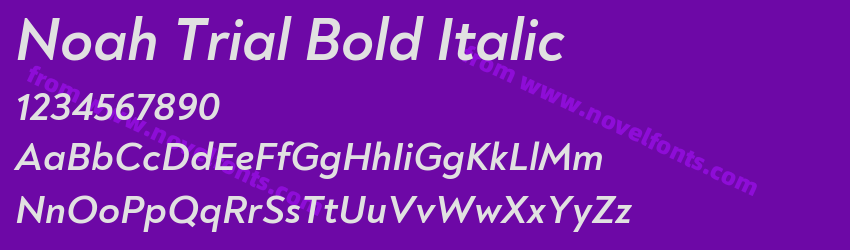 Noah Trial Bold ItalicPreview