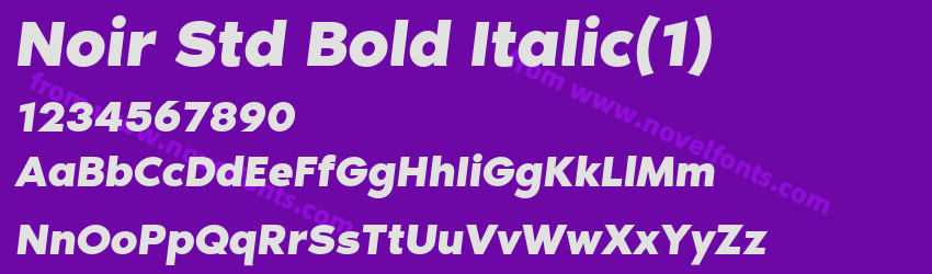 Noir Std Bold ItalicPreview
