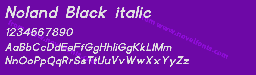 Noland Black italicPreview Noland Black italicPreview