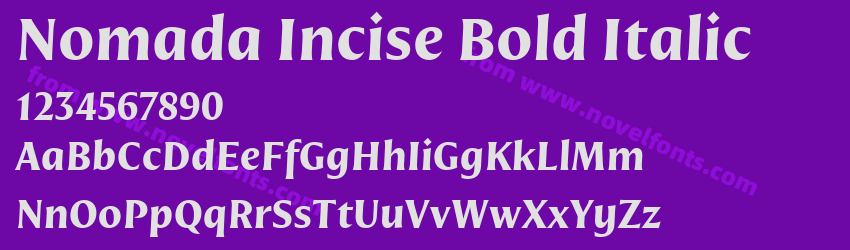 Nomada Incise Bold ItalicPreview Nomada Incise Bold ItalicPreview